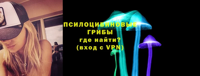 Псилоцибиновые грибы прущие грибы  что такое   дарк нет телеграм  Волоколамск 